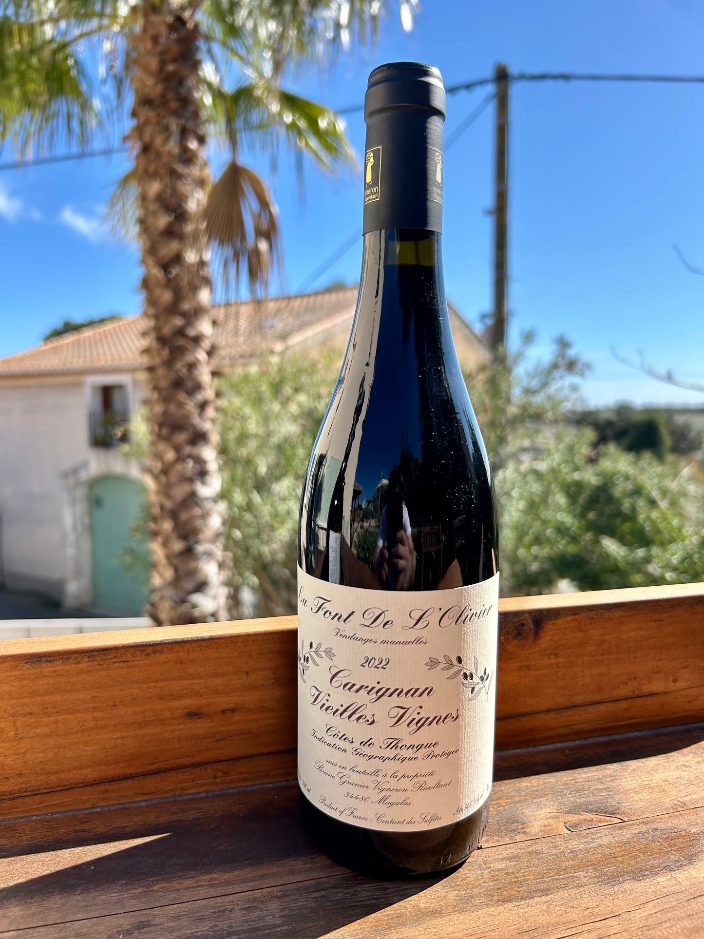 Carignan Vieilles Vignes 2022 - Domaine la Font de l'Olivier