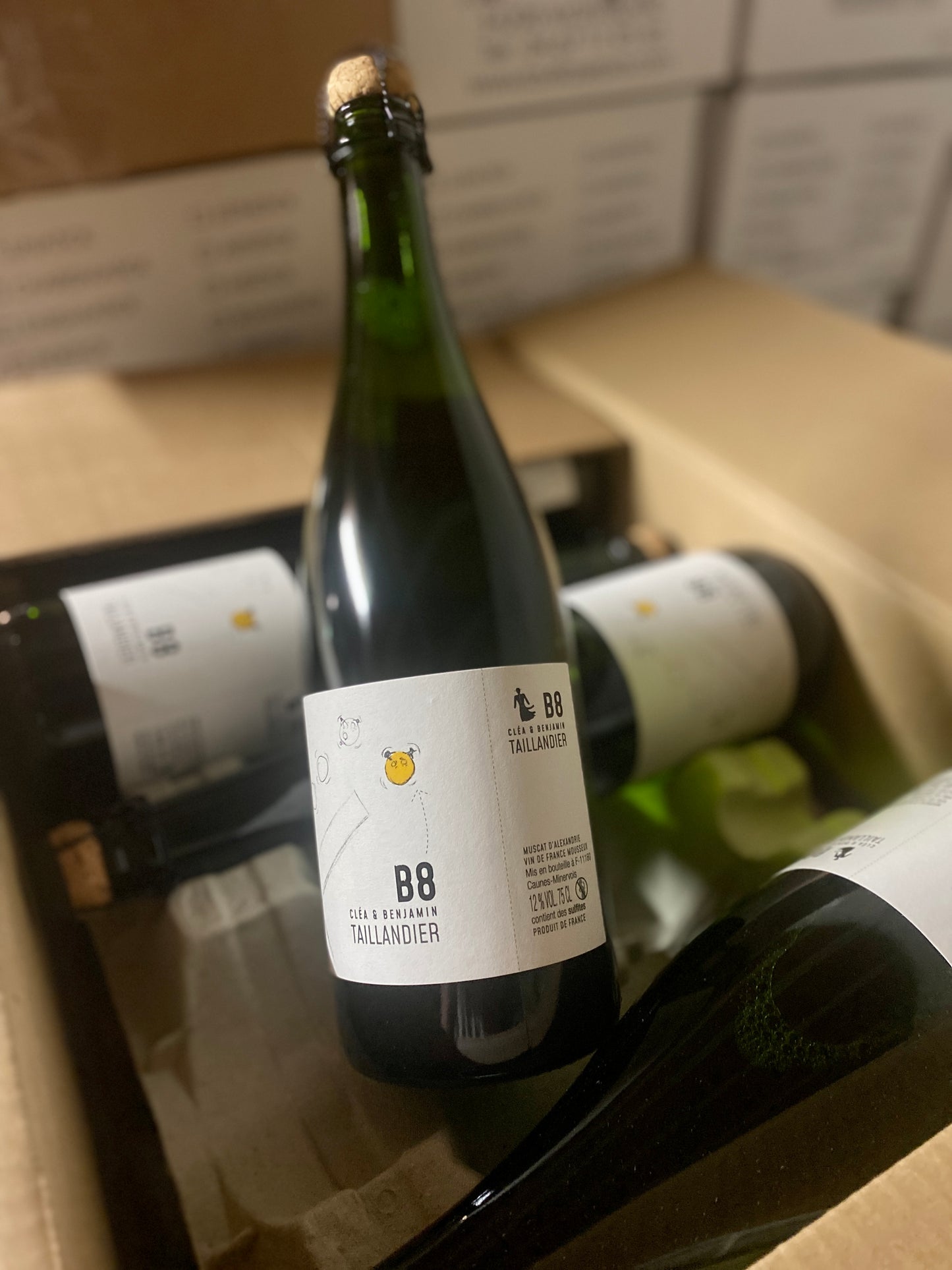 B8 2024 - Benjamin Taillandier