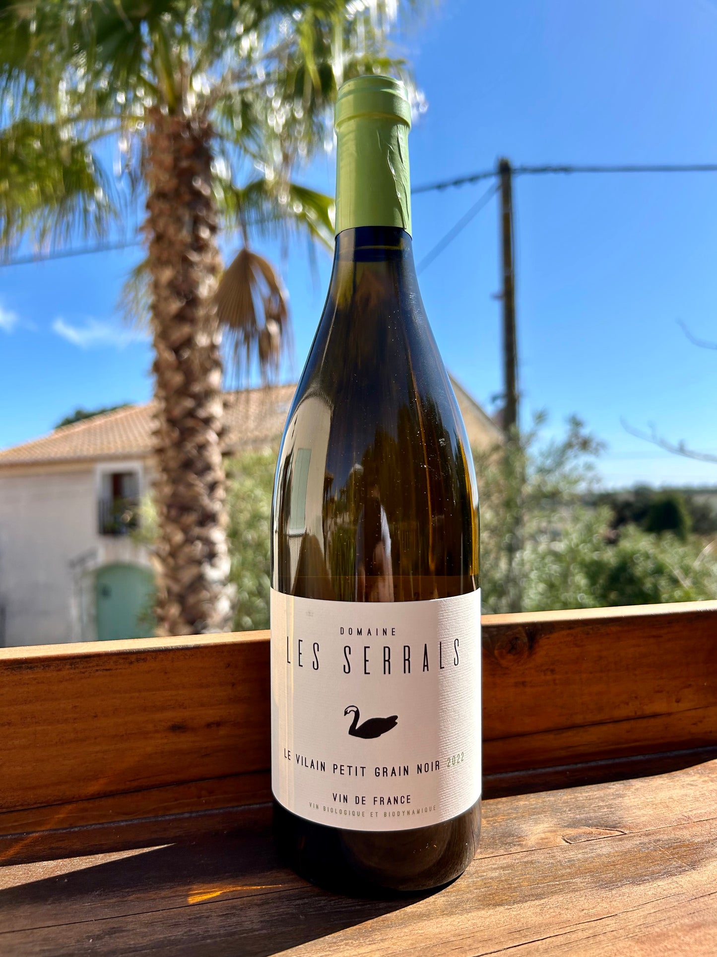 le Vilain Petit Grain Noir 2024 - Les Serrals