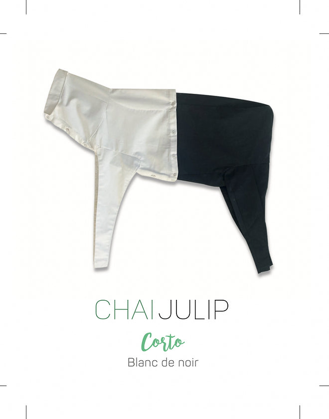 Corto 2023 - Chai Julip