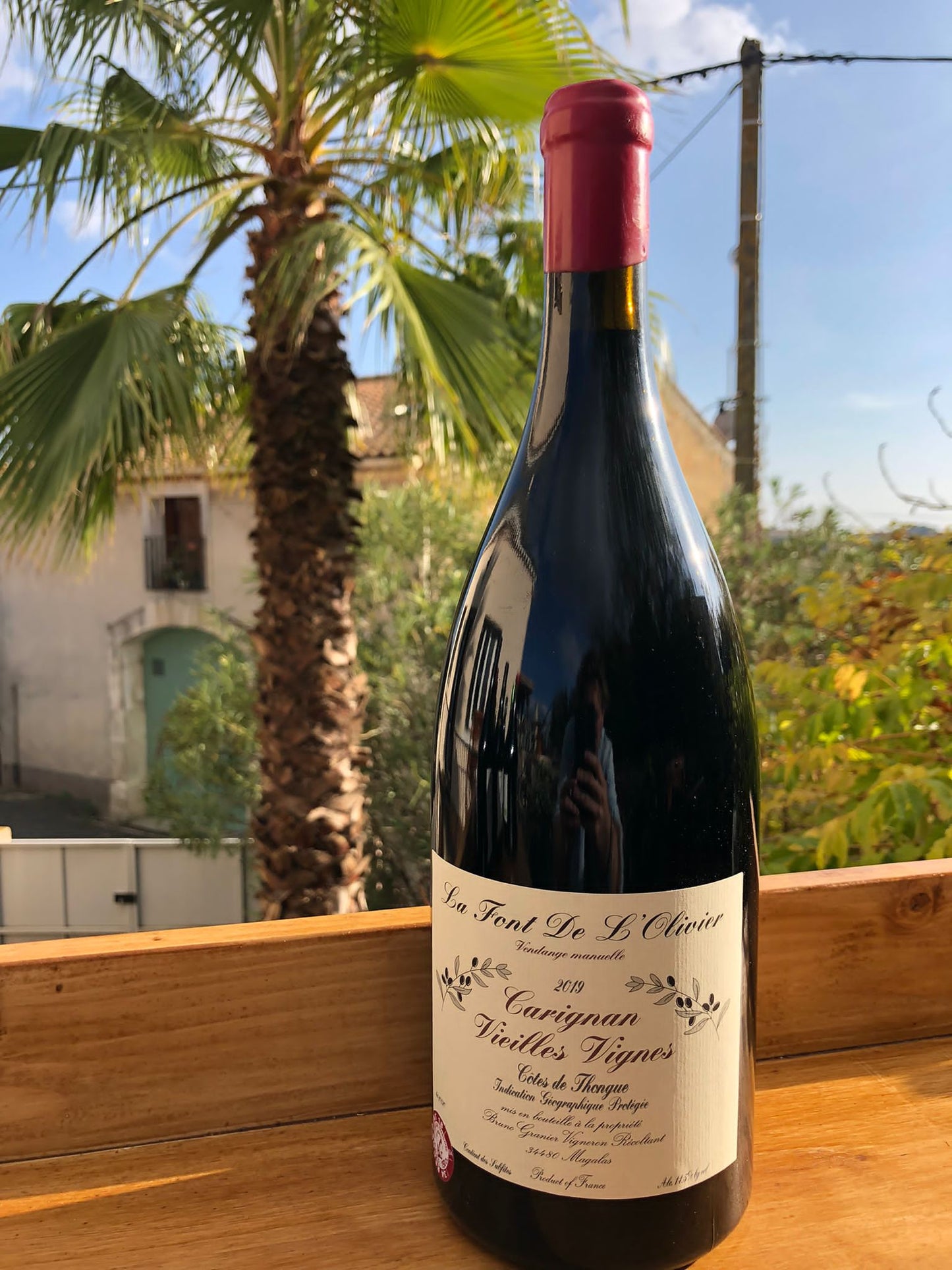Carignan Vieilles Vignes 2022 MAGNUM - Domaine la Font de l'Olivier