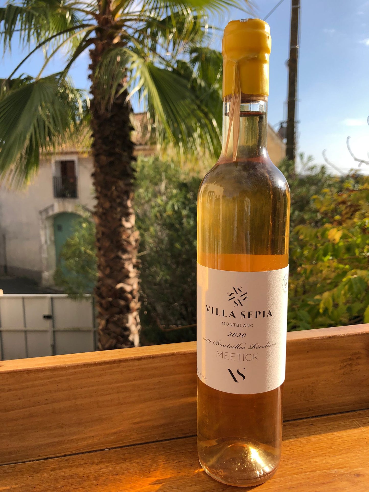 Meetick 2020 - Villa Sepia