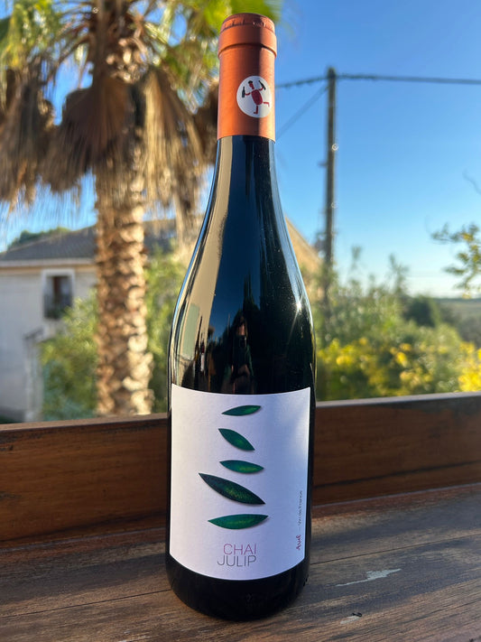 Ariel 2021 - Chai Julip