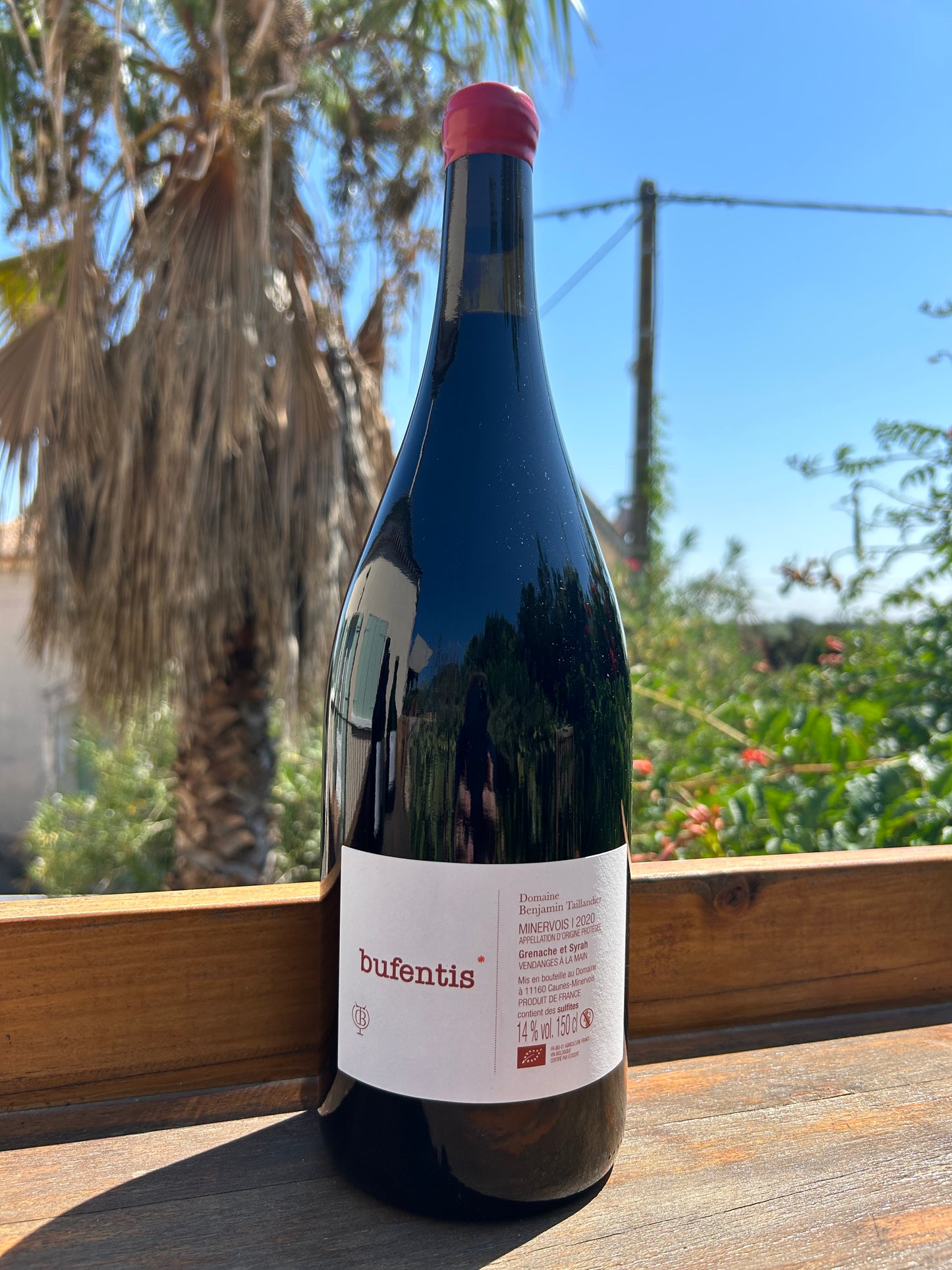 Bufentis 2021 MAGNUM - Benjamin Taillandier