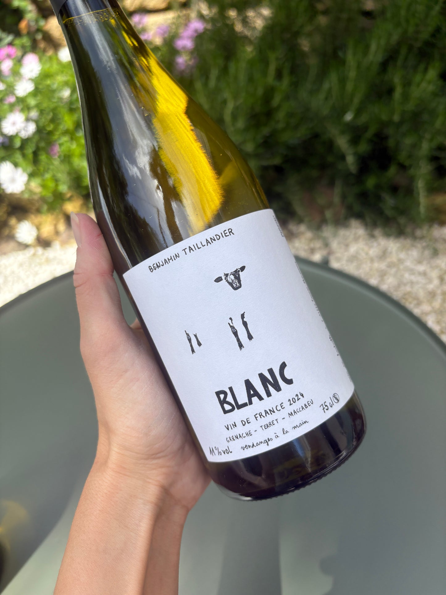 Blanc 2024 - Benjamin Taillandier