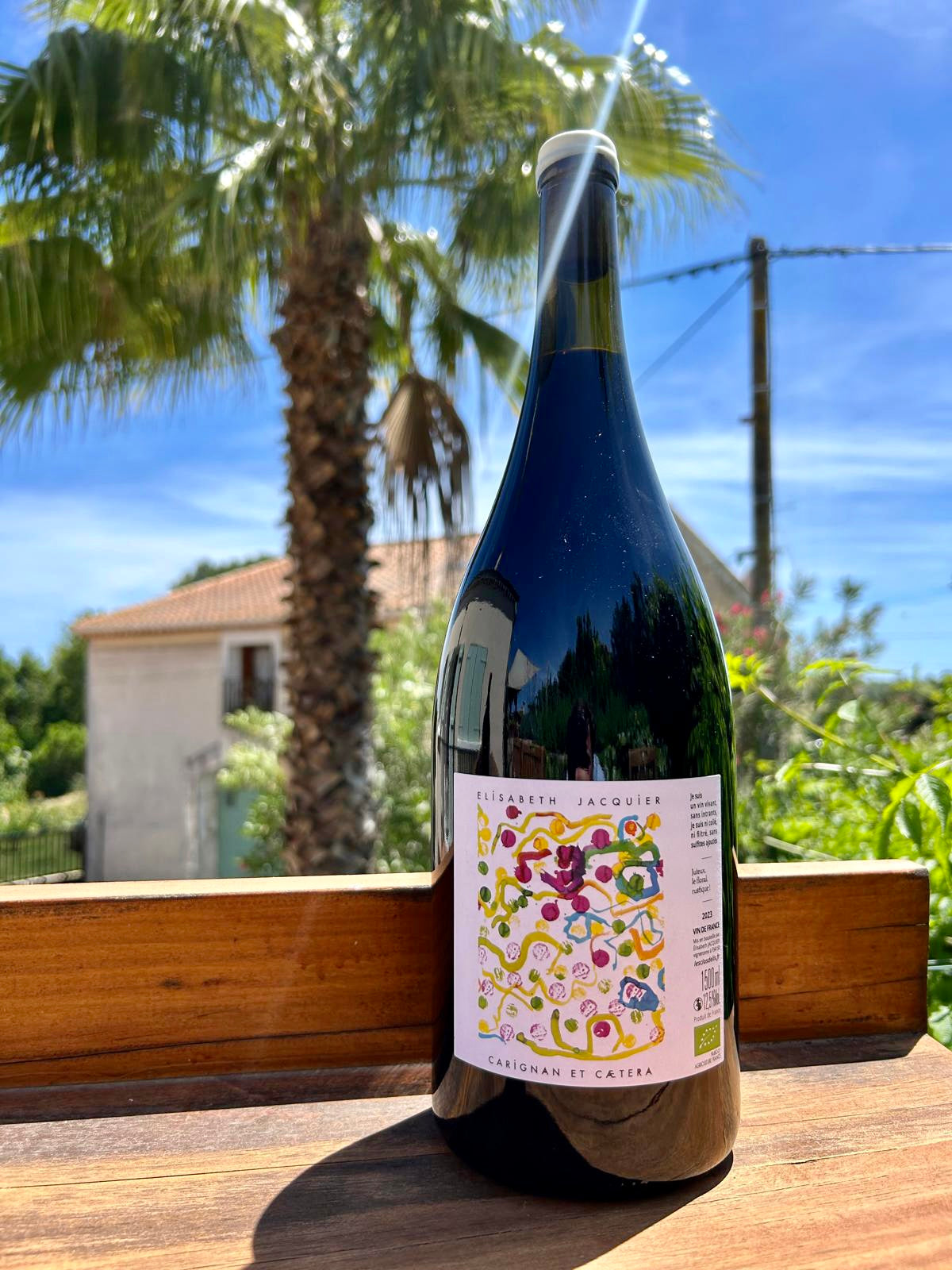 Carignan et Caetera 2023 (magnum) - Les Clos d'Elis