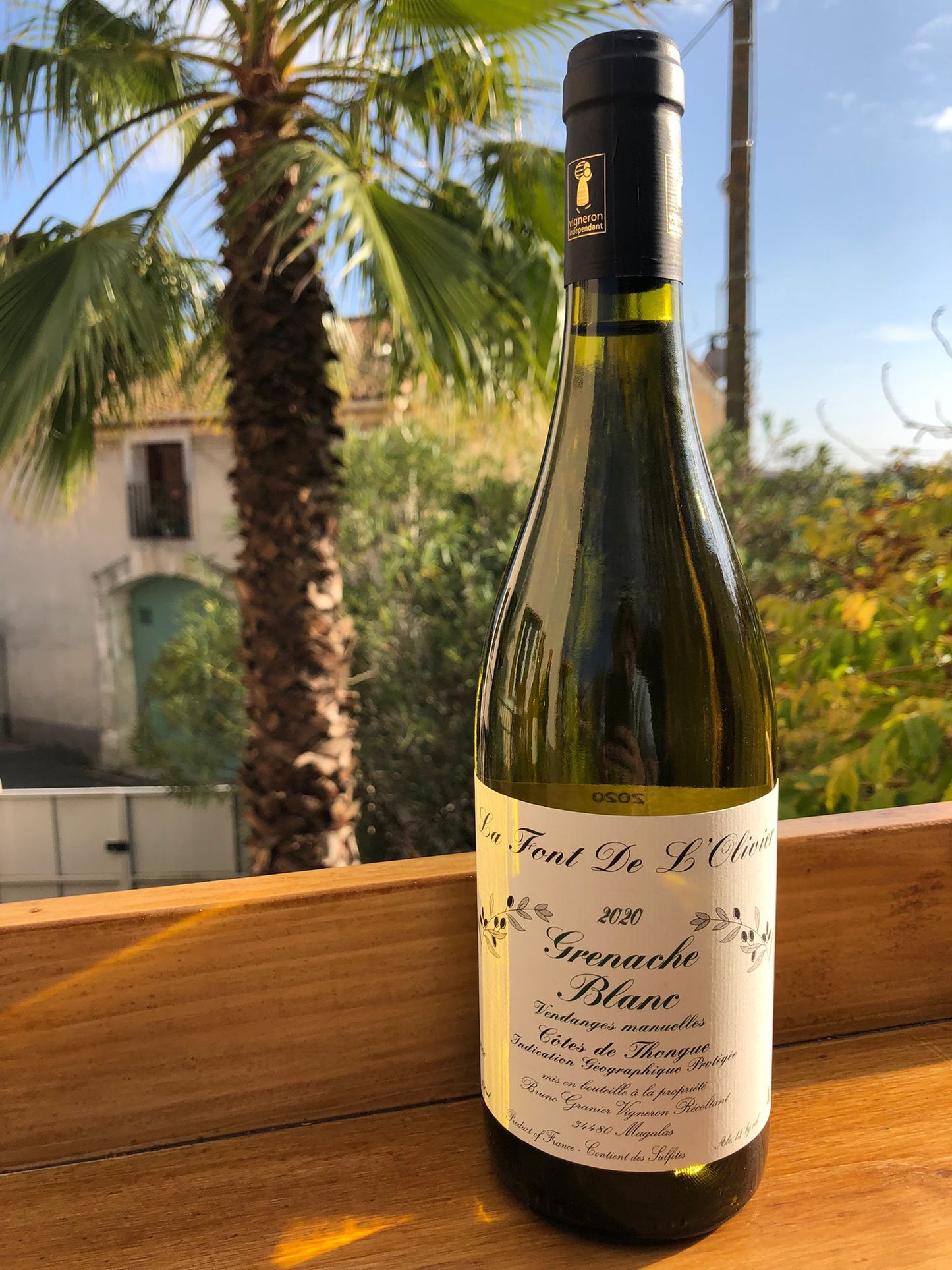 Grenache Blanc 2022 - Domaine la Font de l'Olivier
