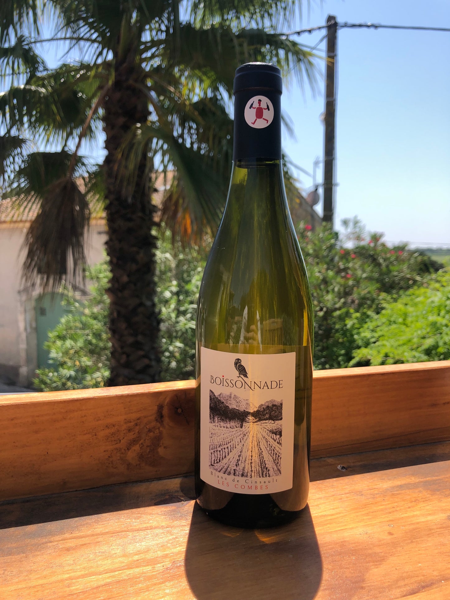 Blanc de Cinsault 2023 - Les Clos d'Elis (Boissonnade)