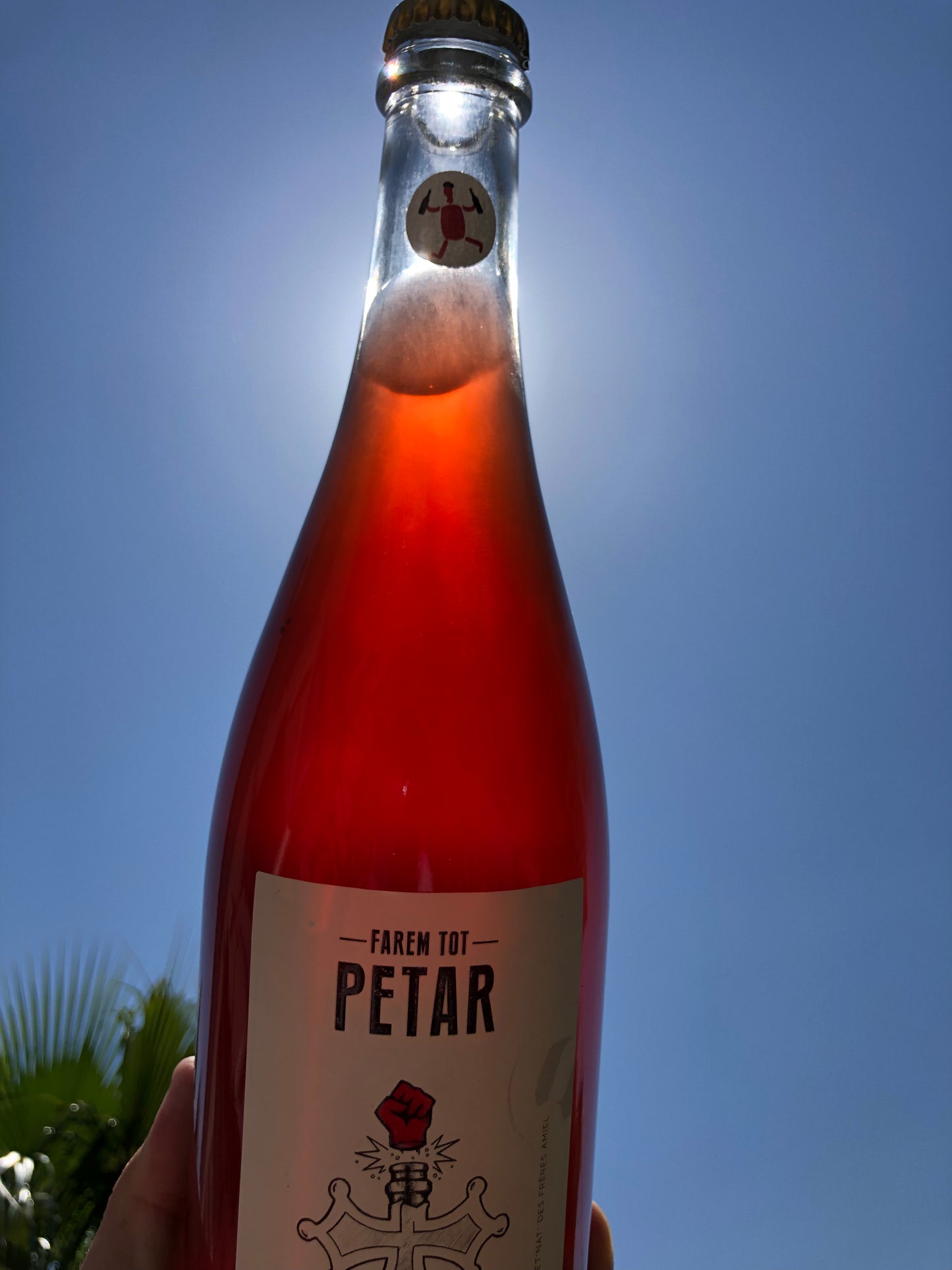 Farem tot Petar 2020 - Des Amiel